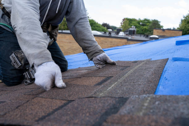 Best Local Roofing Companies  in Janesville, IA