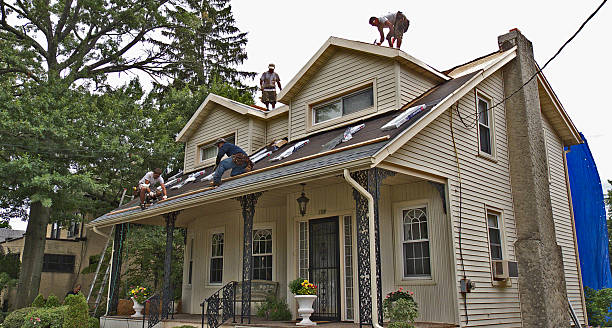 Best Roof Repair Specialists  in Janesville, IA