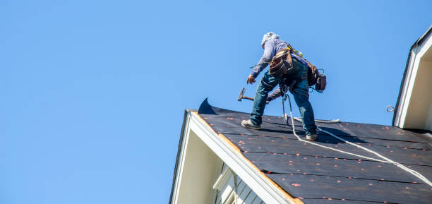 Best Roof Maintenance Services  in Janesville, IA
